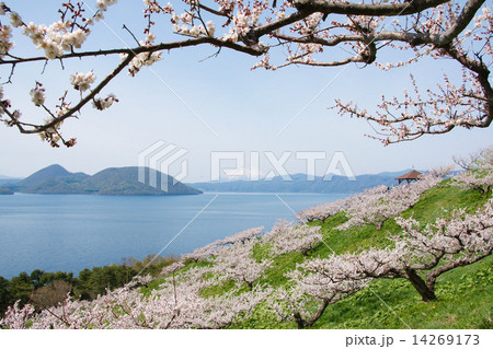 壮瞥公園 壮瞥公園 14269173