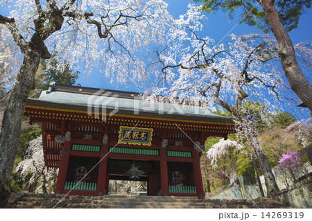 妙義神社山門 妙義神社山門 14269319
