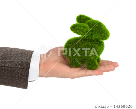 Rabbit made of grass in hand 14269626