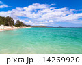 オアフ島のカイルアビーチ 14269920