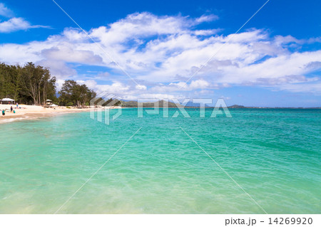 オアフ島のカイルアビーチ 14269920