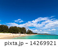 オアフ島のカイルアビーチ 14269921
