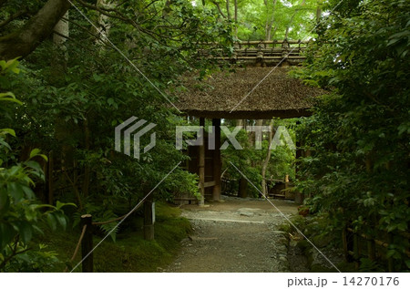 新緑の祇王寺 新緑の祇王寺 14270176