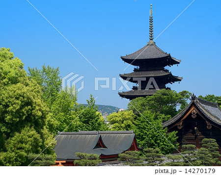 夏の東寺 五重塔 14270179