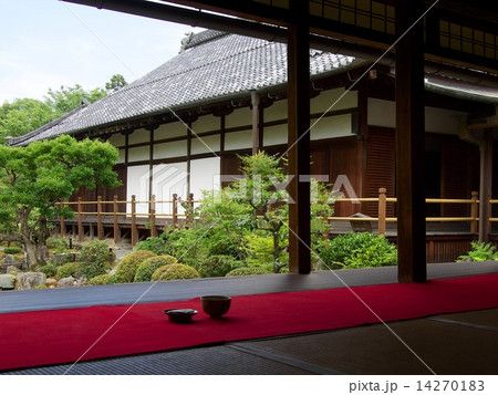 新緑の等持院 14270183