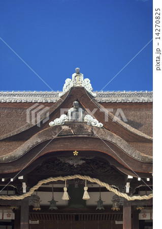 道明寺天満宮点景　本殿 14270825