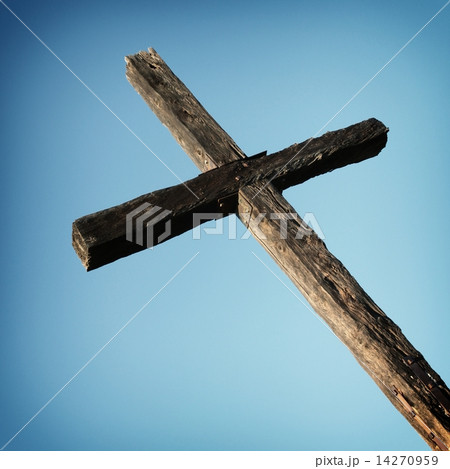 Ventura Cross 14270959