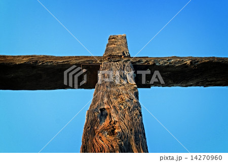 Ventura Cross 14270960