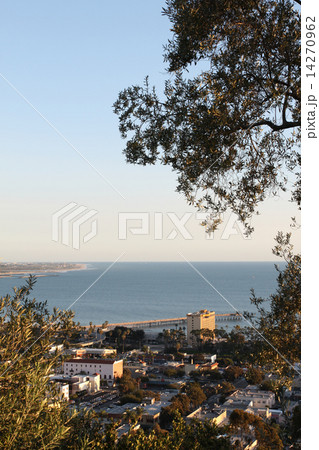 Ventura Skyline 14270962