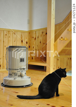 ストーブと猫 14271124