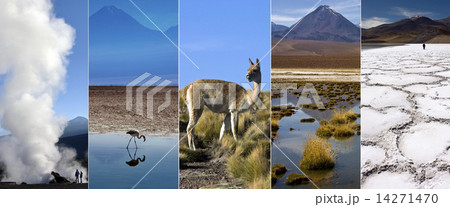 Atacama Desert - Chile - South America 14271470