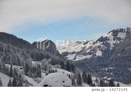 スイスの雪山 14272145