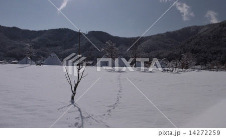 平出遺跡公園(雪) 14272259