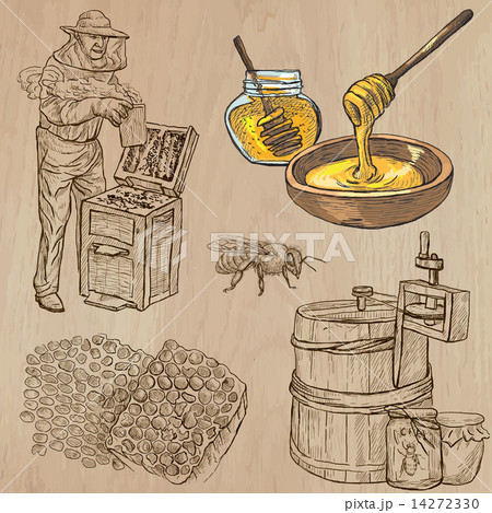 bees, beekeeping and honey - hand drawn vector pack 5 14272330