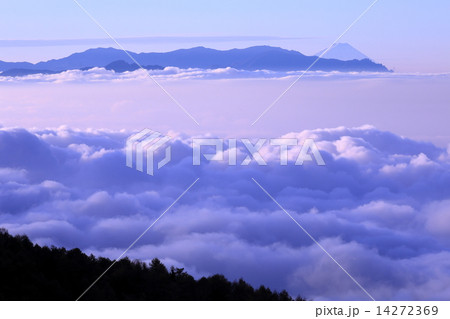 標高2000mの高峰高原より朝日に輝く雲海の向こうに富士を臨む 標高2000mの高峰高原より朝日に輝く雲海の向こうに富士を臨む 14272369