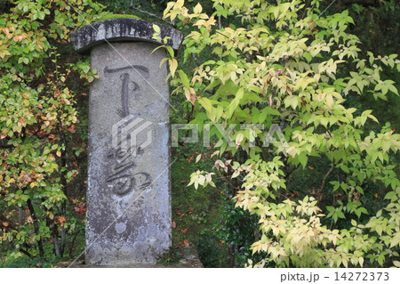 百済寺 14272373