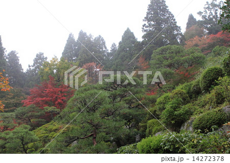 百済寺 14272378