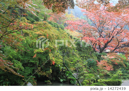 金剛輪寺 14272439