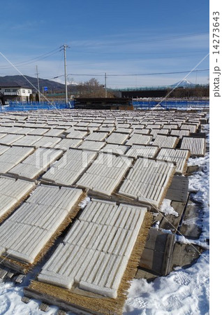 角寒天生産風景　（長野県諏訪地方） 14273643