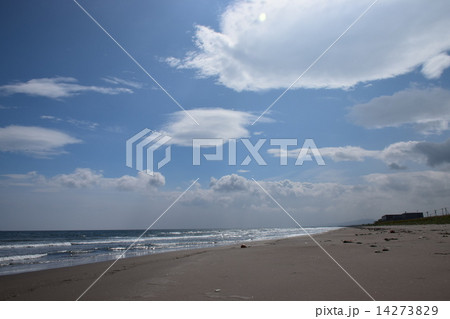 静狩海岸 14273829