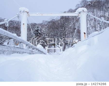 雪景色 14274266