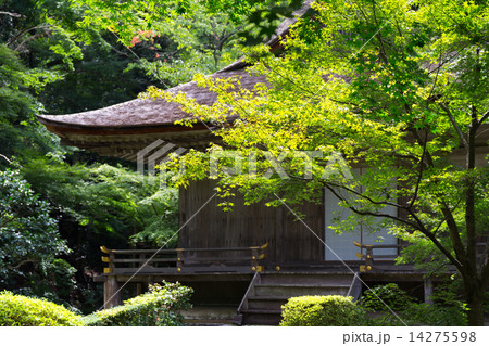 大原 三千院 14275598
