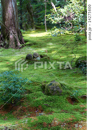 わらべ地蔵 - 大原 三千院 わらべ地蔵 - 大原 三千院 14275600