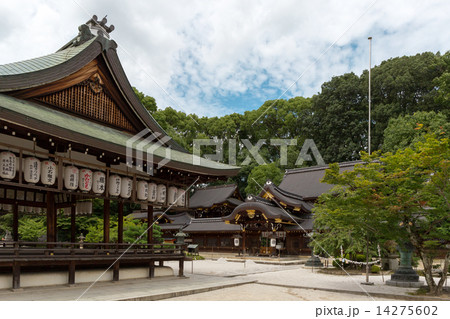 今宮神社 14275602