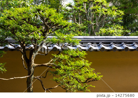 大徳寺 龍源院の庭園 14275680