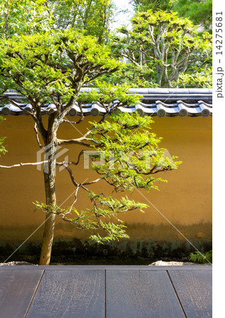 大徳寺 龍源院の庭園 14275681