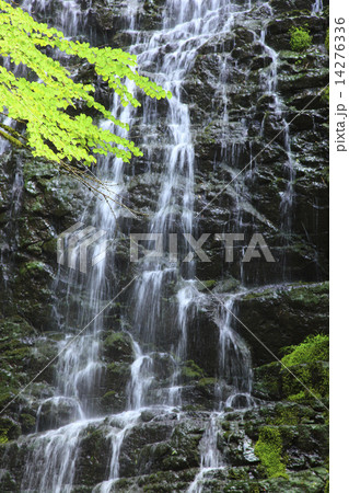 龍双ケ滝 14276336