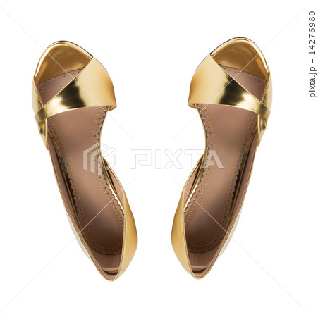 Fashionable women shoe from above 14276980