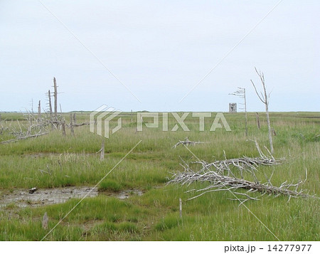 春国岱１ 14277977