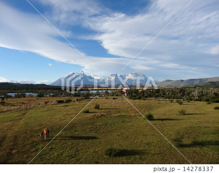 パイネ国立公園の朝 14278337