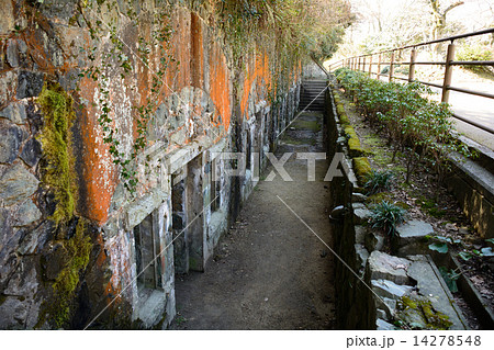 火の山展望台 14278548