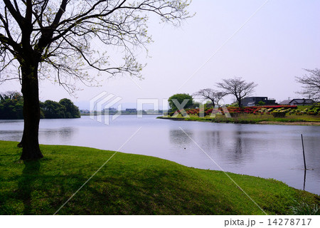 江津湖の風景　Ａ 14278717