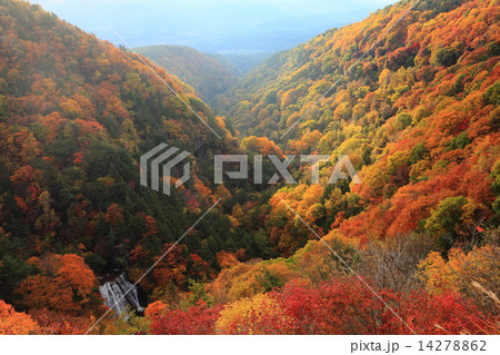 横谷渓谷紅葉 横谷渓谷紅葉 14278862