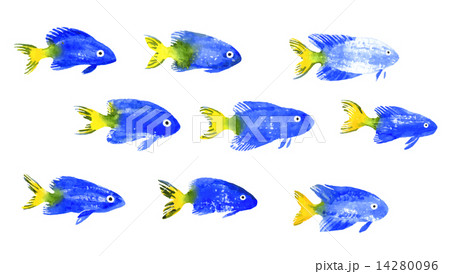 Set of watercolor discus fish 14280096
