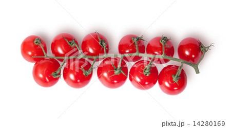 Cherry tomatoes on the stem top view Cherry tomatoes on the stem top view 14280169
