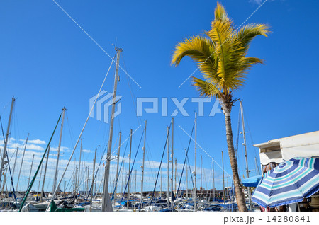 Yachts all over 14280841