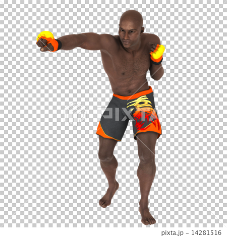 Fighter Fighter 14281516