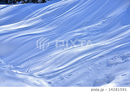 雪と木影の芸術 雪と木影の芸術 14281591