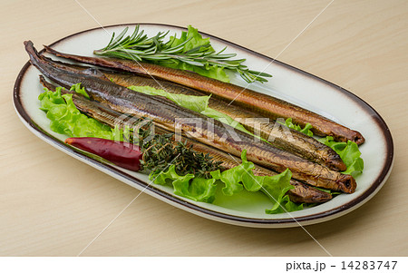 Lamprey Lamprey 14283747