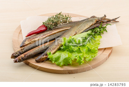 Lamprey Lamprey 14283793