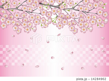 桜の壁紙のイラスト素材 14284902 Pixta
