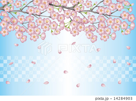 桜の壁紙 14284903