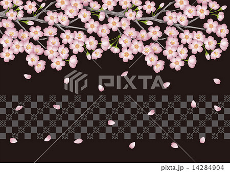 夜桜の壁紙のイラスト素材