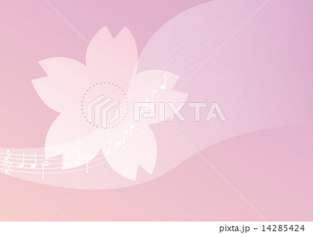 桜 14285424