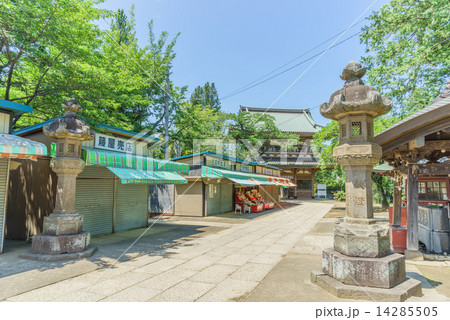 夏の宗吾霊堂の参道と山門 14285505