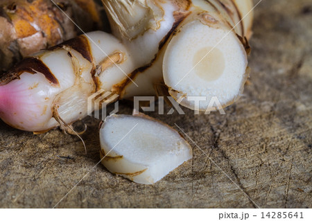 Galangal herb used in cooking 14285641
